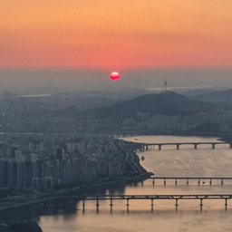 피드에 업로드 된 이미지