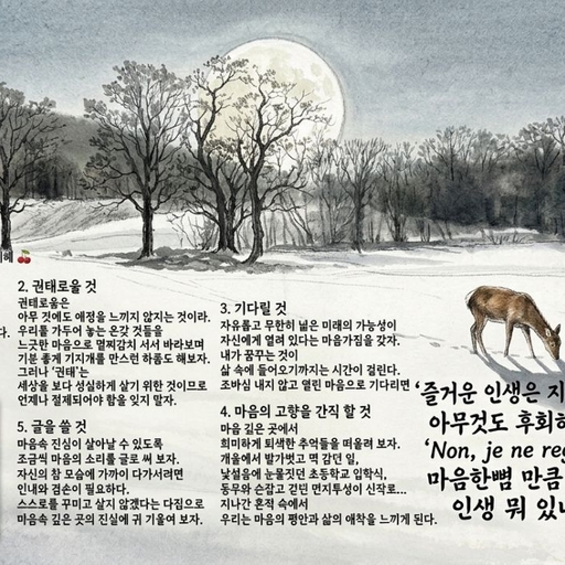 피드 이미지