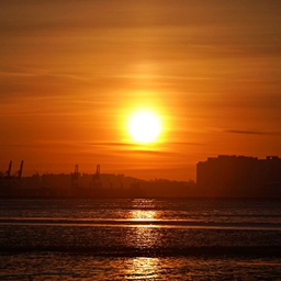 피드에 업로드 된 이미지