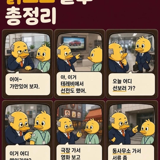 피드 이미지