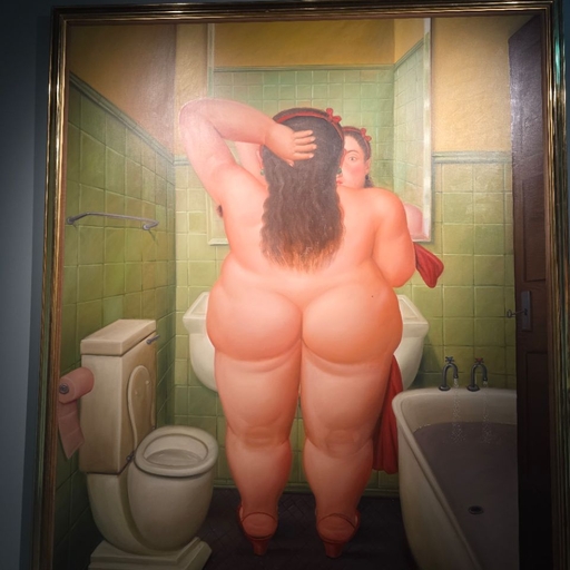 피드 이미지