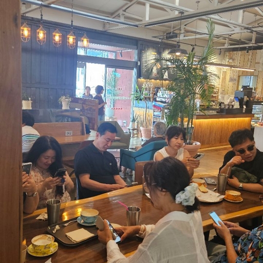 피드 이미지