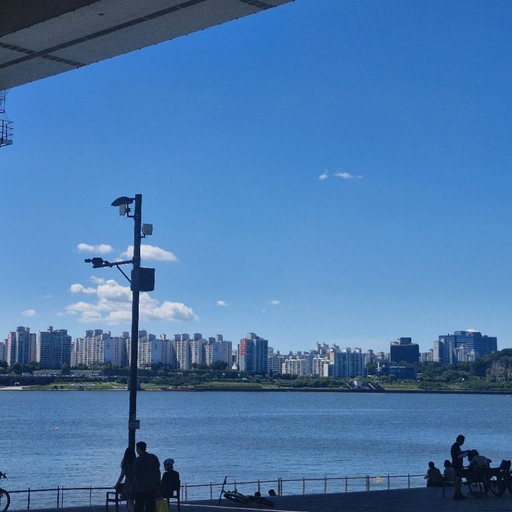 피드 이미지