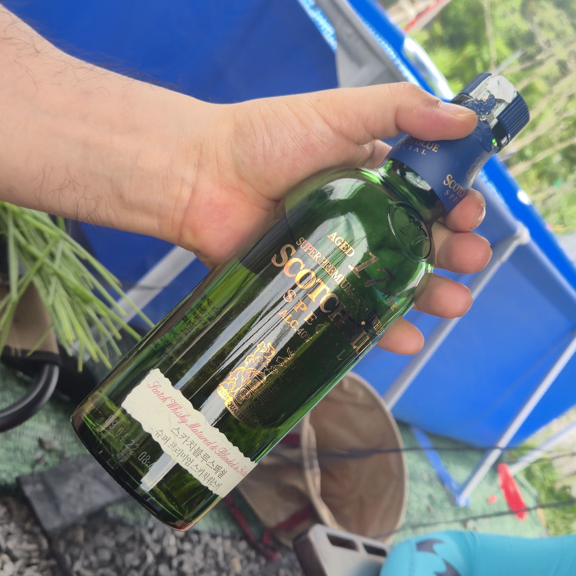피드 이미지