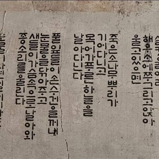 피드 이미지