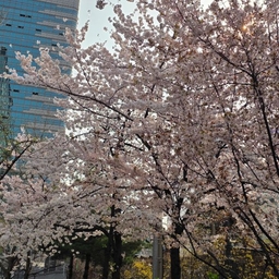 피드에 업로드 된 이미지