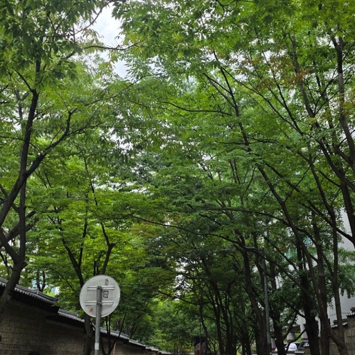 피드 이미지