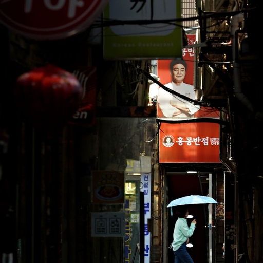 피드 이미지