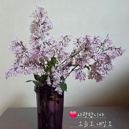 피드에 업로드 된 이미지