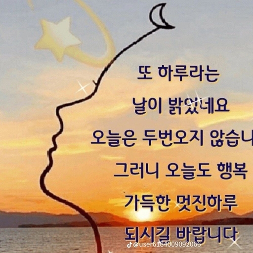 피드 이미지