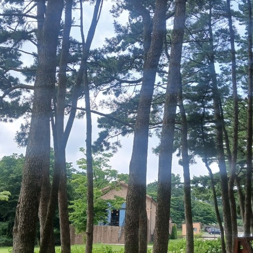 피드 이미지