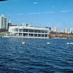 피드에 업로드 된 이미지