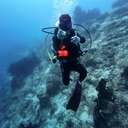 공지사항 작성자 프로필