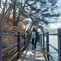 피드에 업로드 된 이미지