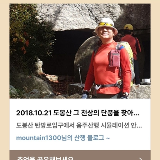 피드 이미지