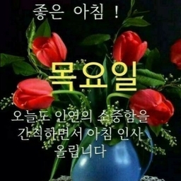 피드에 업로드 된 이미지