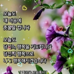 피드에 업로드 된 이미지