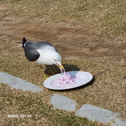 피드 이미지