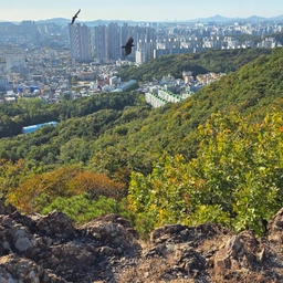 피드에 업로드 된 이미지