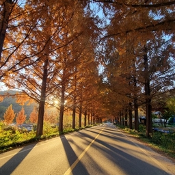 피드에 업로드 된 이미지