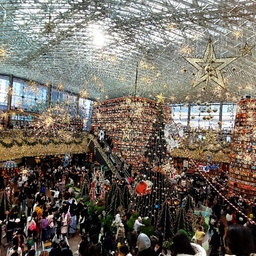 피드에 업로드 된 이미지