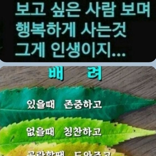 피드 이미지