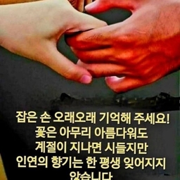피드에 업로드 된 이미지