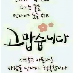 피드에 업로드 된 이미지