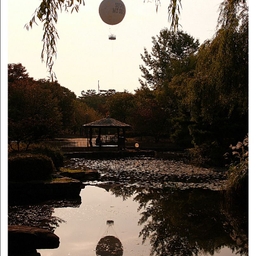 피드에 업로드 된 이미지