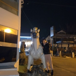 피드에 업로드 된 이미지