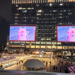 피드에 업로드 된 이미지