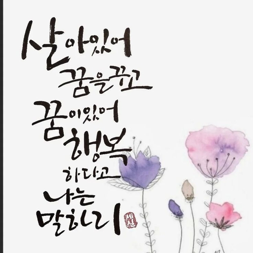 피드 이미지