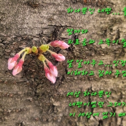 피드에 업로드 된 이미지