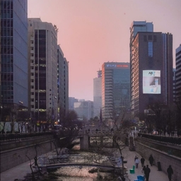 피드에 업로드 된 이미지