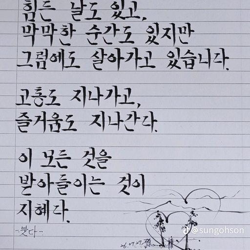 피드 이미지