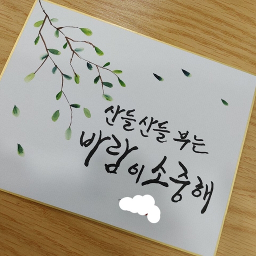 피드 이미지
