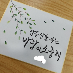 피드에 업로드 된 이미지
