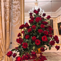 피드에 업로드 된 이미지