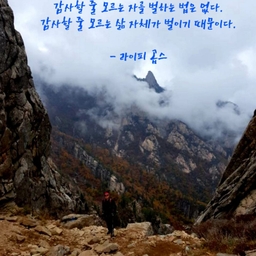 피드에 업로드 된 이미지