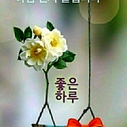 피드에 업로드 된 이미지