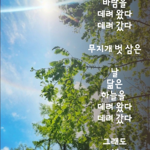 피드 이미지