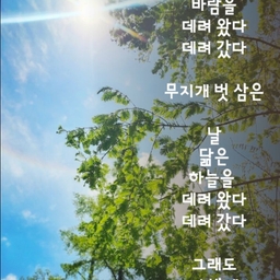 피드에 업로드 된 이미지