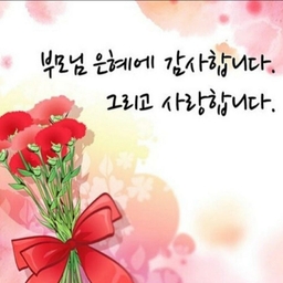 피드에 업로드 된 이미지