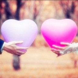 ํผ๋์ ์
๋ก๋ ๋ ์ด๋ฏธ์ง