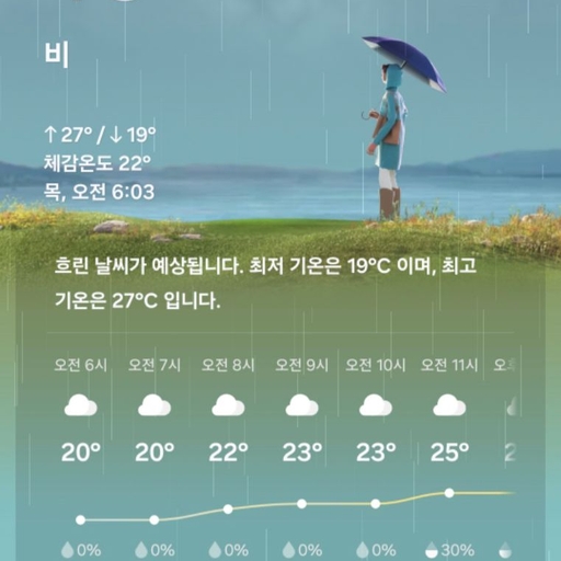 피드 이미지