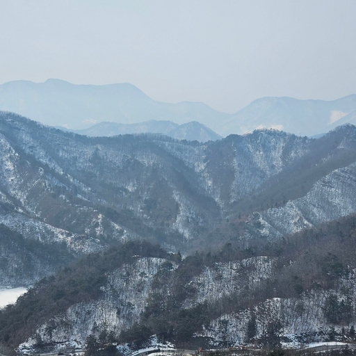 피드 이미지