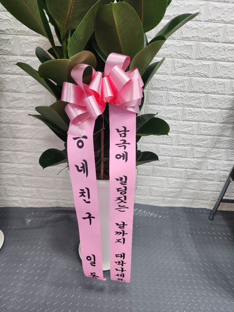 피드 이미지