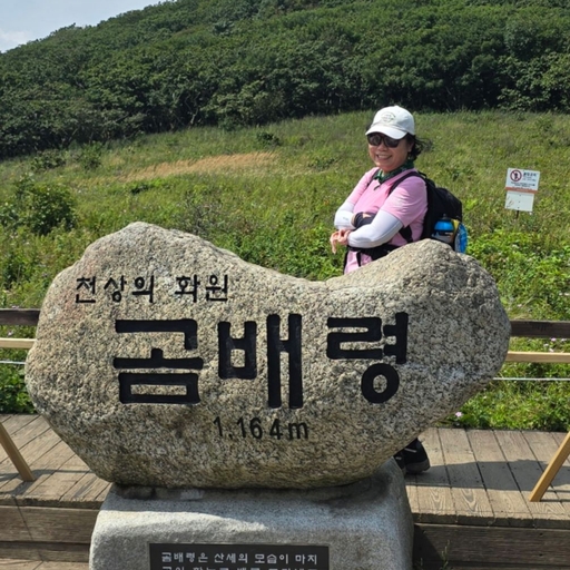 피드 이미지