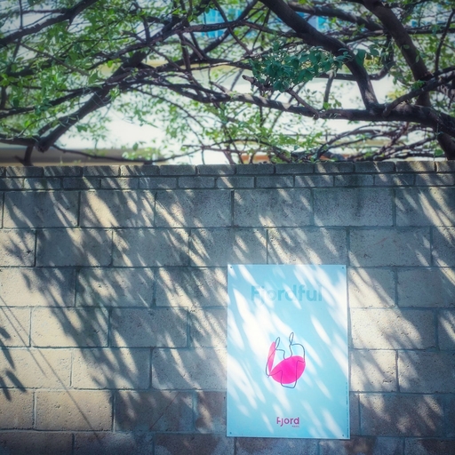피드 이미지