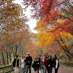 피드에 업로드 된 이미지